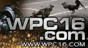 Best Review About the WPC16 Control Panel