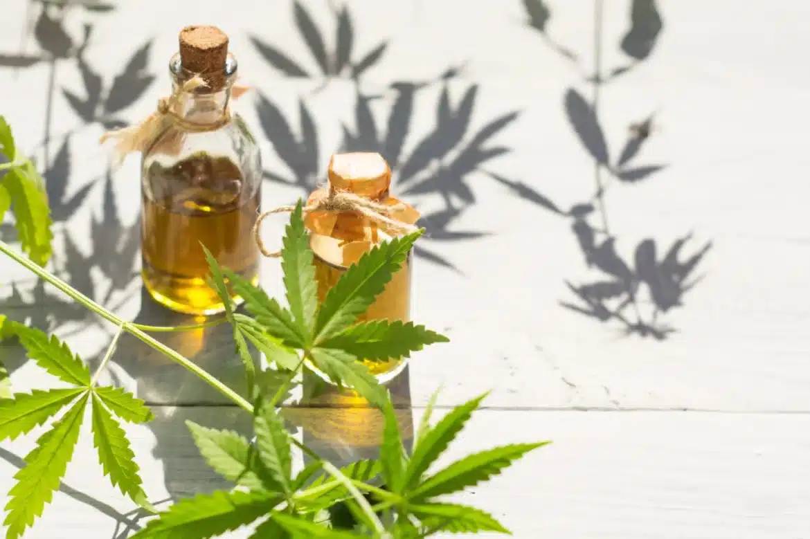 CBD vs CBN: What’s the Cannabinoid Difference?
