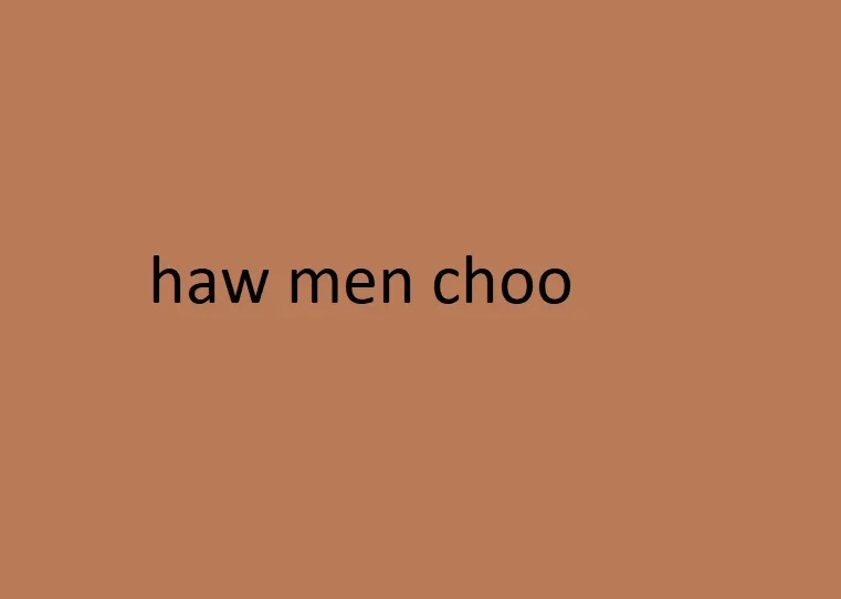 Haw Men Choo Exploring Its Origins, Interpretations, and Cultural Impact