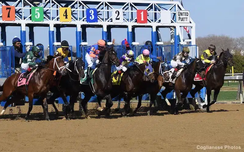 horse racing carryovers